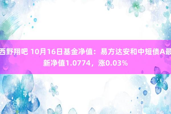 西野翔吧 10月16日基金净值：易方达安和中短债A最新净值1.0774，涨0.03%