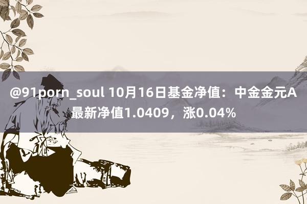 @91porn_soul 10月16日基金净值：中金金元A最新净值1.0409，涨0.04%