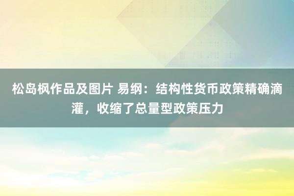 松岛枫作品及图片 易纲：结构性货币政策精确滴灌，收缩了总量型政策压力