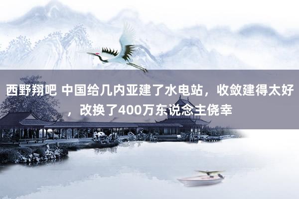 西野翔吧 中国给几内亚建了水电站，收敛建得太好，改换了400万东说念主侥幸