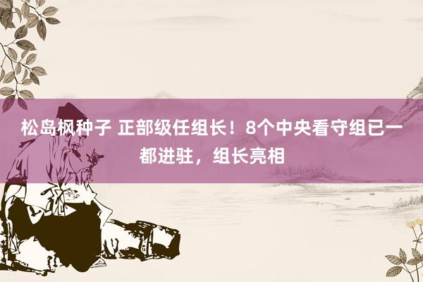 松岛枫种子 正部级任组长！8个中央看守组已一都进驻，组长亮相