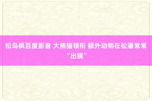 松岛枫百度影音 大熊猫领衔 额外动物在松潘常常“出镜”