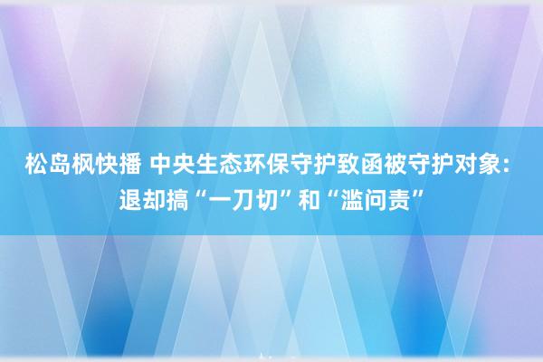 松岛枫快播 中央生态环保守护致函被守护对象: 退却搞“一刀切”和“滥问责”