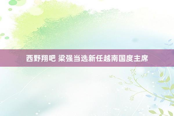 西野翔吧 梁强当选新任越南国度主席