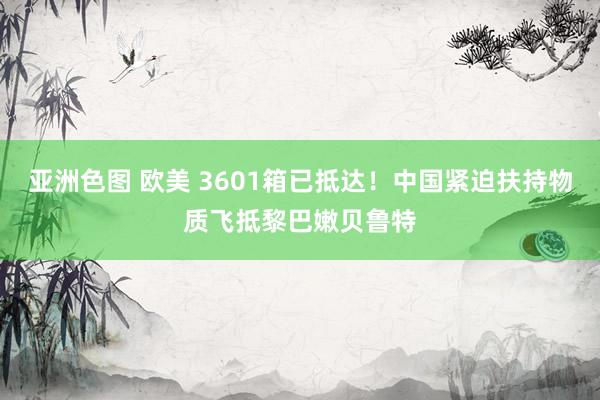 亚洲色图 欧美 3601箱已抵达！中国紧迫扶持物质飞抵黎巴嫩贝鲁特