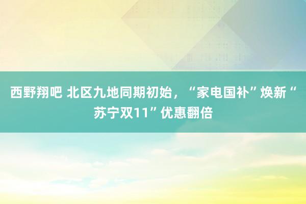 西野翔吧 北区九地同期初始，“家电国补”焕新“苏宁双11”优惠翻倍