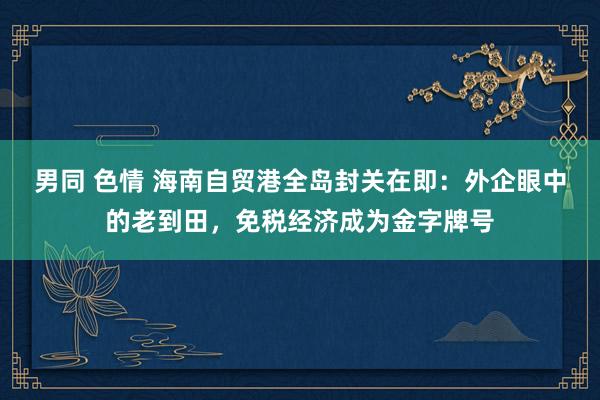 男同 色情 海南自贸港全岛封关在即：外企眼中的老到田，免税经济成为金字牌号