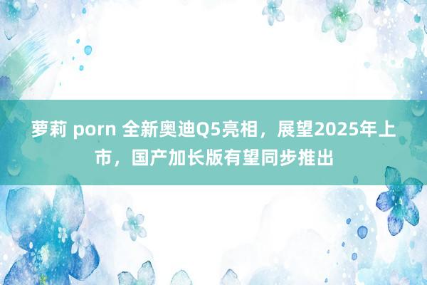 萝莉 porn 全新奥迪Q5亮相，展望2025年上市，国产加长版有望同步推出