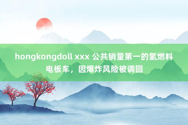 hongkongdoll xxx 公共销量第一的氢燃料电板车，因爆炸风险被调回