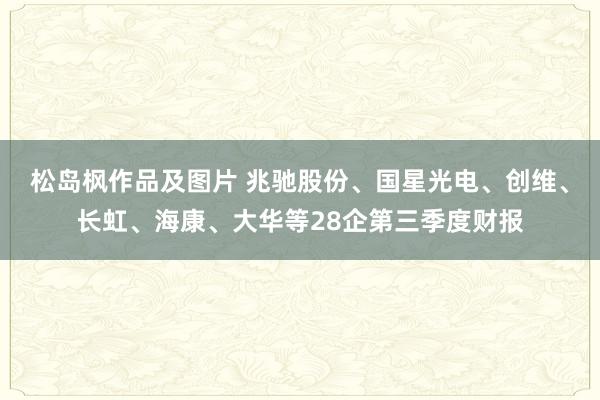 松岛枫作品及图片 兆驰股份、国星光电、创维、长虹、海康、大华等28企第三季度财报