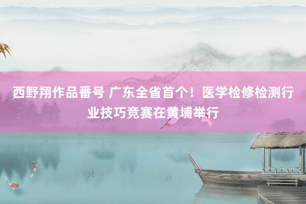 西野翔作品番号 广东全省首个！医学检修检测行业技巧竞赛在黄埔举行