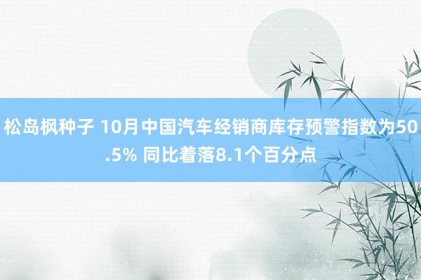 松岛枫种子 10月中国汽车经销商库存预警指数为50.5% 同比着落8.1个百分点