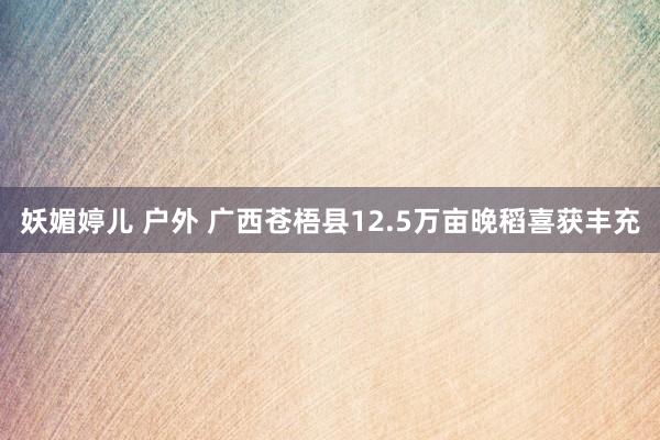 妖媚婷儿 户外 广西苍梧县12.5万亩晚稻喜获丰充