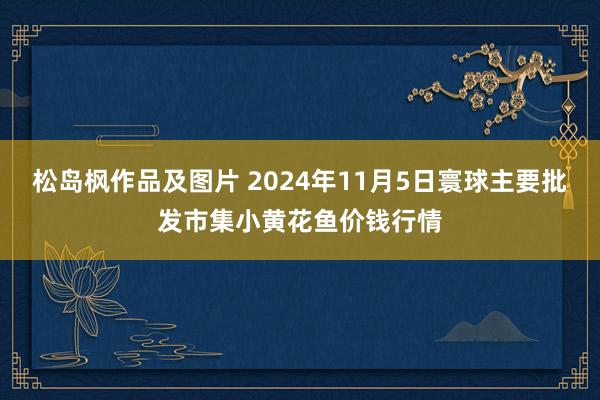 松岛枫作品及图片 2024年11月5日寰球主要批发市集小黄花鱼价钱行情