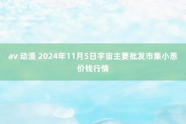 av 动漫 2024年11月5日宇宙主要批发市集小葱价钱行情