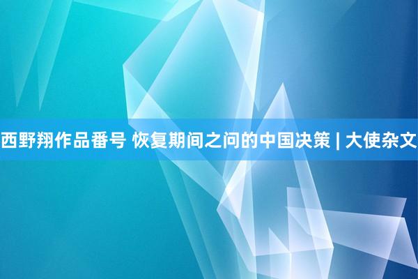 西野翔作品番号 恢复期间之问的中国决策 | 大使杂文