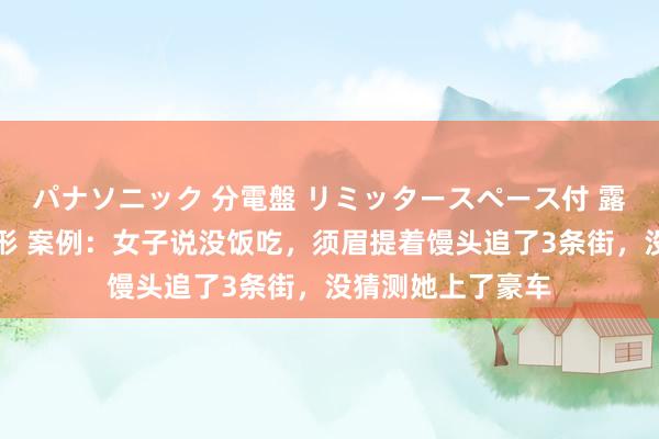 パナソニック 分電盤 リミッタースペース付 露出・半埋込両用形 案例：女子说没饭吃，须眉提着馒头追了3条街，没猜测她上了豪车