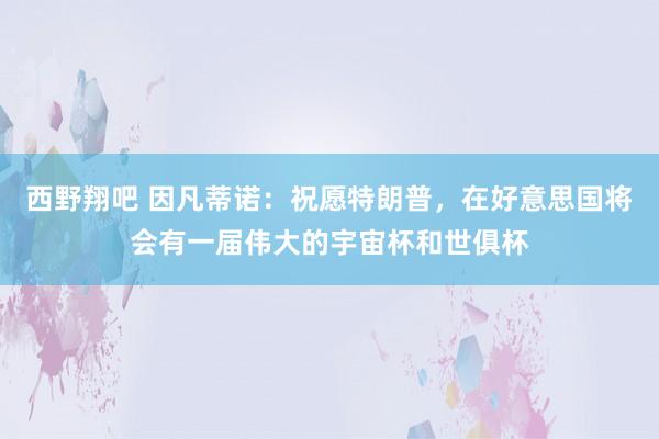 西野翔吧 因凡蒂诺：祝愿特朗普，在好意思国将会有一届伟大的宇宙杯和世俱杯