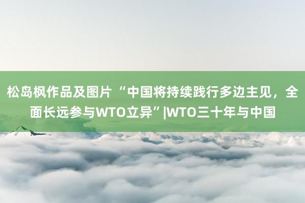 松岛枫作品及图片 “中国将持续践行多边主见，全面长远参与WTO立异”|WTO三十年与中国