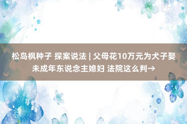 松岛枫种子 探案说法 | 父母花10万元为犬子娶未成年东说念主媳妇 法院这么判→