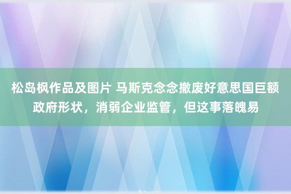 松岛枫作品及图片 马斯克念念撤废好意思国巨额政府形状，消弱企业监管，但这事落魄易