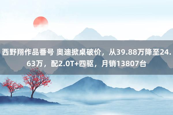 西野翔作品番号 奥迪掀桌破价，从39.88万降至24.63万，配2.0T+四驱，月销13807台