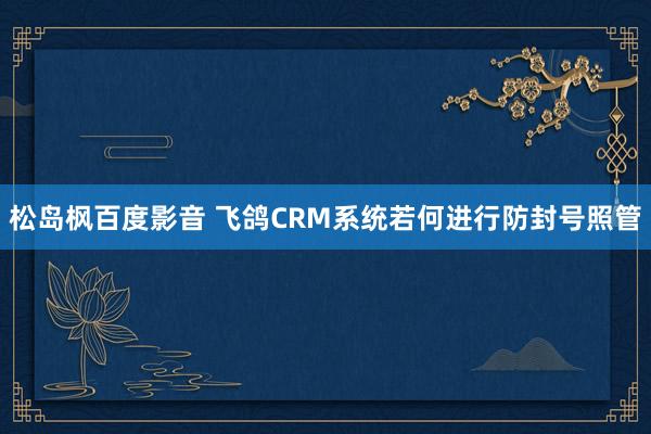 松岛枫百度影音 飞鸽CRM系统若何进行防封号照管