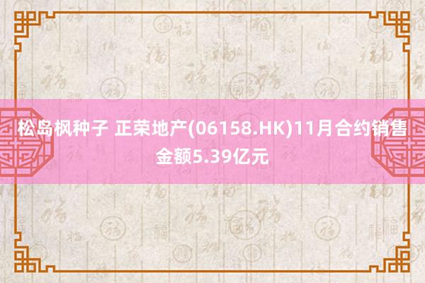 松岛枫种子 正荣地产(06158.HK)11月合约销售金额5.39亿元