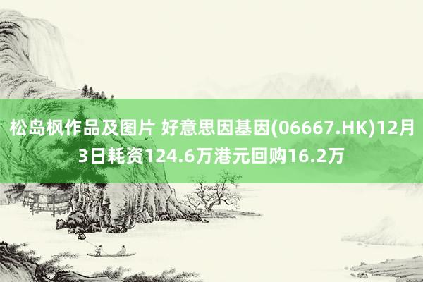 松岛枫作品及图片 好意思因基因(06667.HK)12月3日耗资124.6万港元回购16.2万