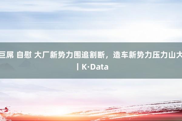 巨屌 自慰 大厂新势力围追割断，造车新势力压力山大丨K·Data