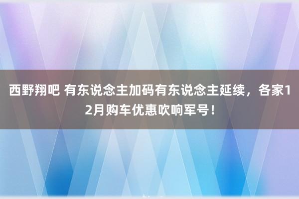 西野翔吧 有东说念主加码有东说念主延续，各家12月购车优惠吹响军号！