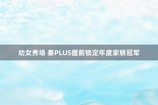 幼女秀场 秦PLUS提前锁定年度家轿冠军