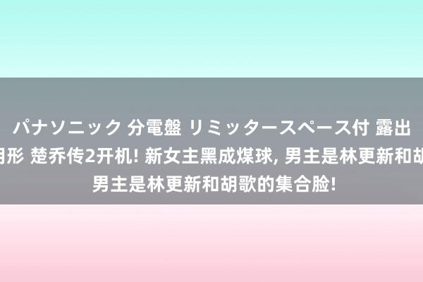 パナソニック 分電盤 リミッタースペース付 露出・半埋込両用形 楚乔传2开机! 新女主黑成煤球， 男主是林更新和胡歌的集合脸!