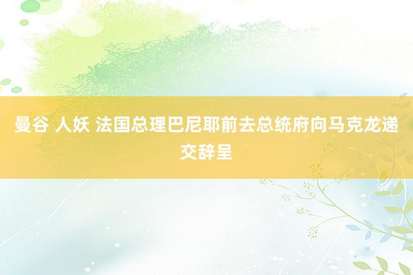 曼谷 人妖 法国总理巴尼耶前去总统府向马克龙递交辞呈