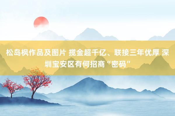 松岛枫作品及图片 揽金超千亿、联接三年优厚 深圳宝安区有何招商“密码”