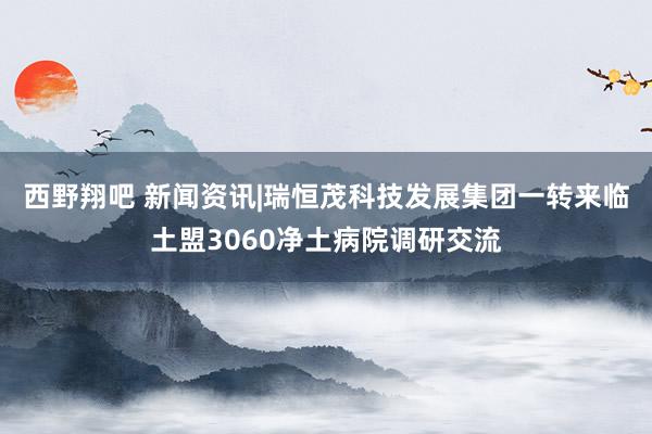 西野翔吧 新闻资讯|瑞恒茂科技发展集团一转来临土盟3060净土病院调研交流