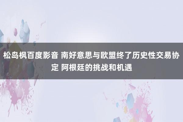 松岛枫百度影音 南好意思与欧盟终了历史性交易协定 阿根廷的挑战和机遇