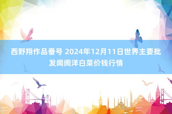 西野翔作品番号 2024年12月11日世界主要批发阛阓洋白菜价钱行情