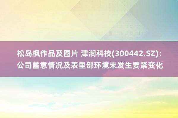 松岛枫作品及图片 津润科技(300442.SZ): 公司蓄意情况及表里部环境未发生要紧变化