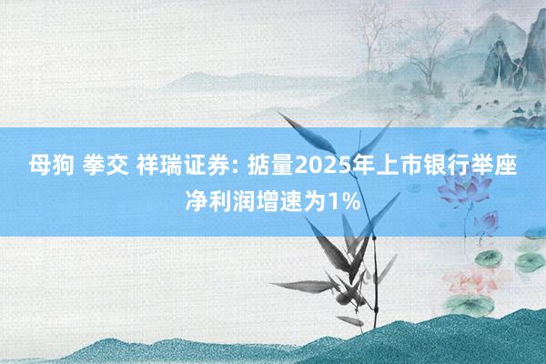 母狗 拳交 祥瑞证券: 掂量2025年上市银行举座净利润增速为1%