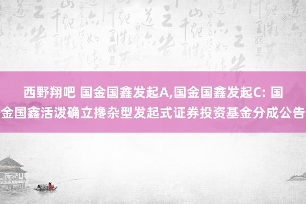 西野翔吧 国金国鑫发起A，国金国鑫发起C: 国金国鑫活泼确立搀杂型发起式证券投资基金分成公告