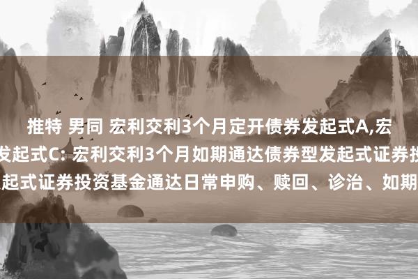 推特 男同 宏利交利3个月定开债券发起式A，宏利交利3个月定开债券发起式C: 宏利交利3个月如期通达债券型发起式证券投资基金通达日常申购、赎回、诊治、如期定额投资业务公告