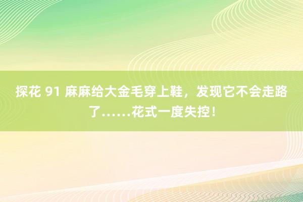 探花 91 麻麻给大金毛穿上鞋，发现它不会走路了……花式一度失控！