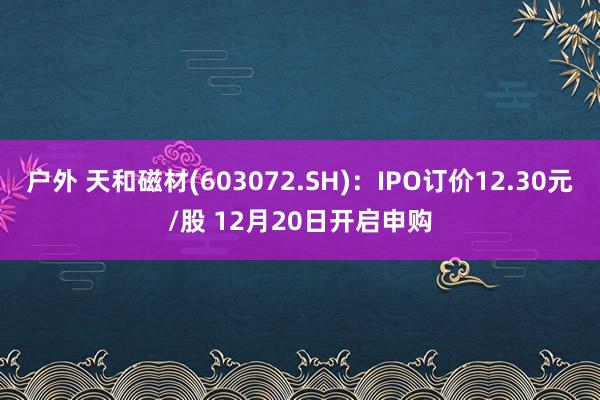 户外 天和磁材(603072.SH)：IPO订价12.30元/股 12月20日开启申购