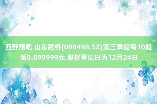 西野翔吧 山东路桥(000498.SZ)第三季度每10股派0.099999元 股权登记日为12月24日