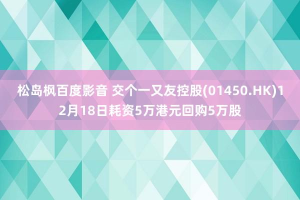 松岛枫百度影音 交个一又友控股(01450.HK)12月18日耗资5万港元回购5万股