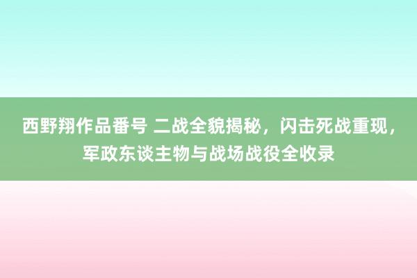 西野翔作品番号 二战全貌揭秘，闪击死战重现，军政东谈主物与战场战役全收录