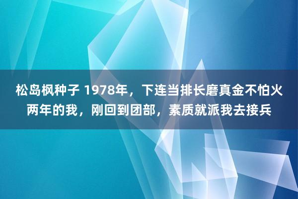 松岛枫种子 1978年，下连当排长磨真金不怕火两年的我，刚回到团部，素质就派我去接兵