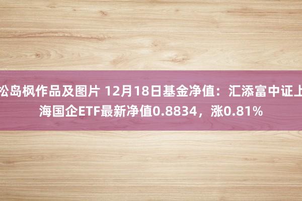 松岛枫作品及图片 12月18日基金净值：汇添富中证上海国企ETF最新净值0.8834，涨0.81%