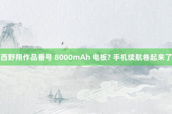 西野翔作品番号 8000mAh 电板? 手机续航卷起来了